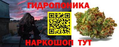 шишки Азнакаево