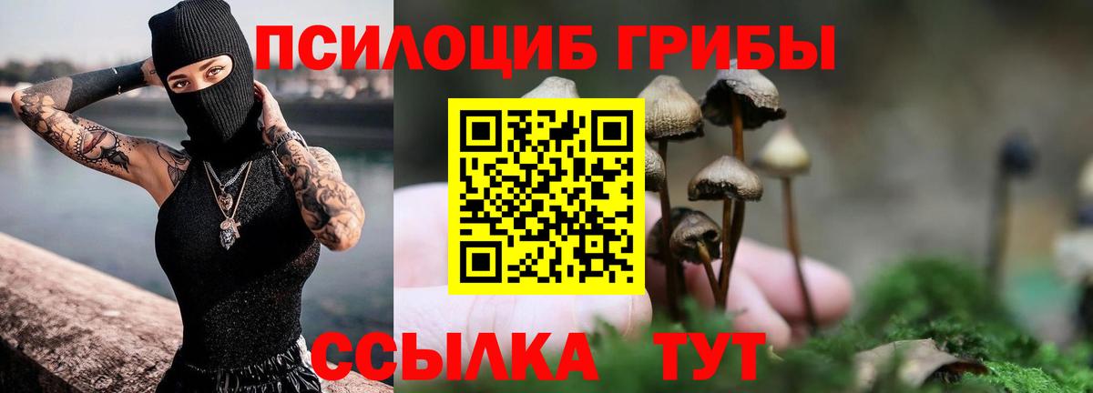 Галлюциногенные грибы мухоморы  Вход с VPN  как найти   Амурск 